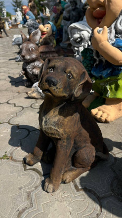 Щенок ротвейлера